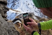 84 Nika un po'  stanca per la lunga camminata